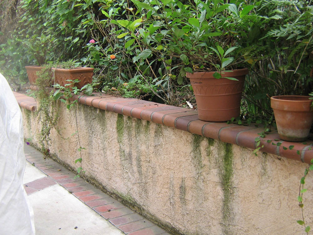 Pressure Washing Newport Coast Fence